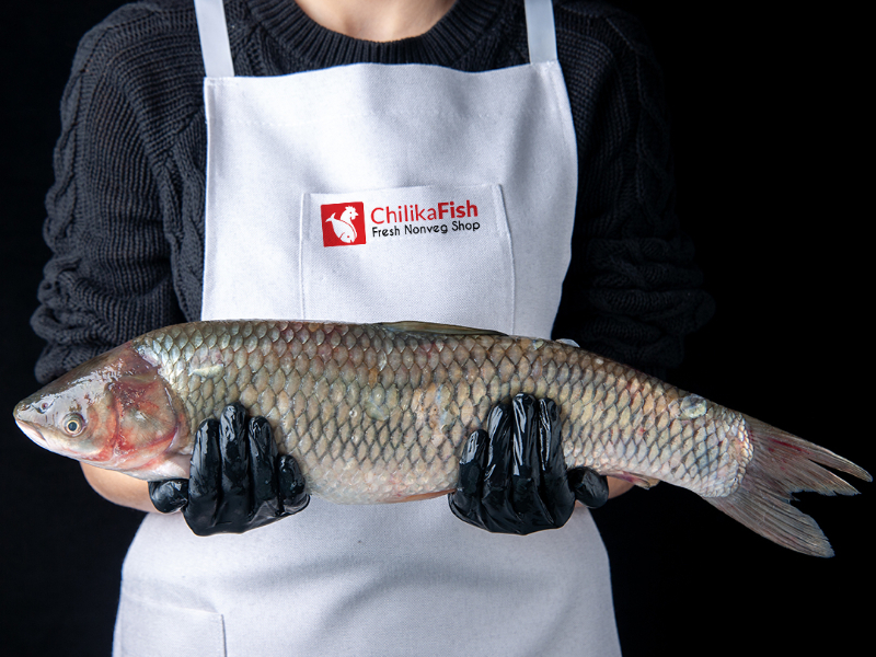 What are the Benefits of Buying Fish Online?